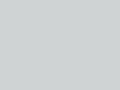 Lichtgrijs (39) - RAL---- Lichtgrijs (39) - RAL----